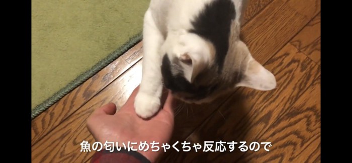 食べる前にお手