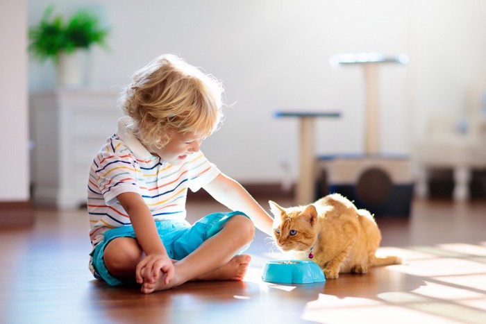 男の子と猫