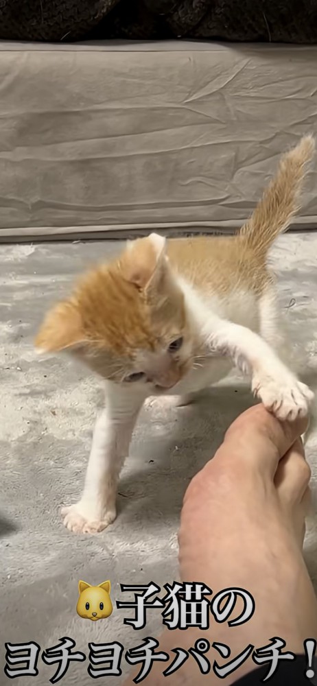 よちよちパンチ