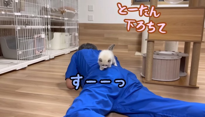 うつぶせ