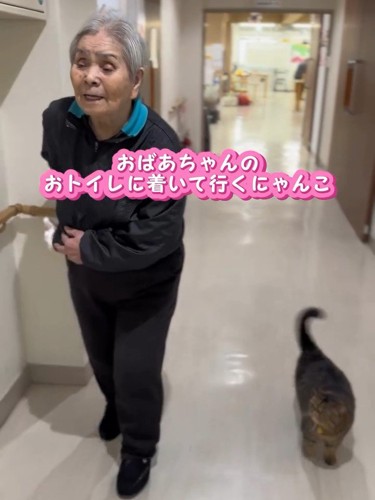 一緒に歩く人と猫