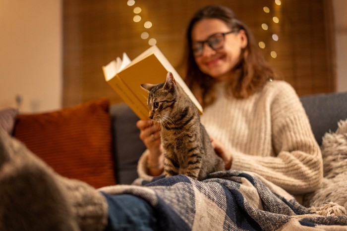 読書する人の足に座る猫