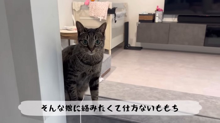 テロップ「そんな娘に~」
