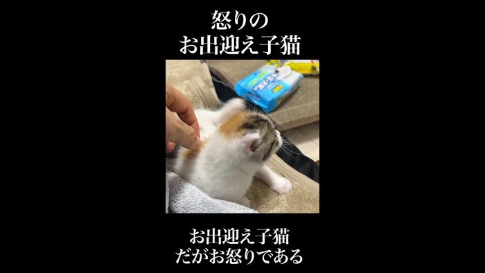 お耳を掻く姿