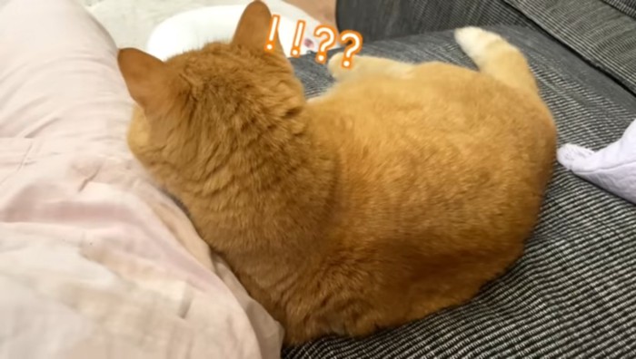 ！！？？