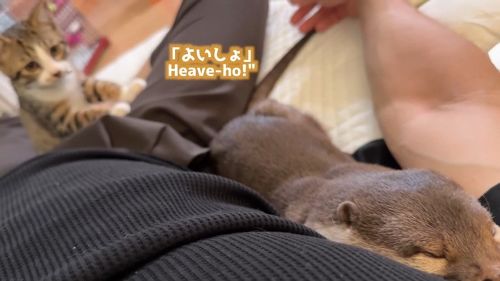 よいしょ