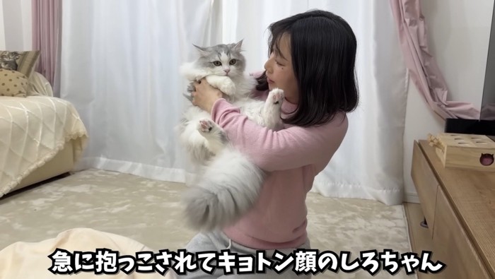 きょとん顔のしろちゃん