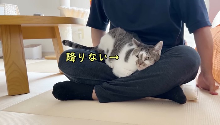 降りない