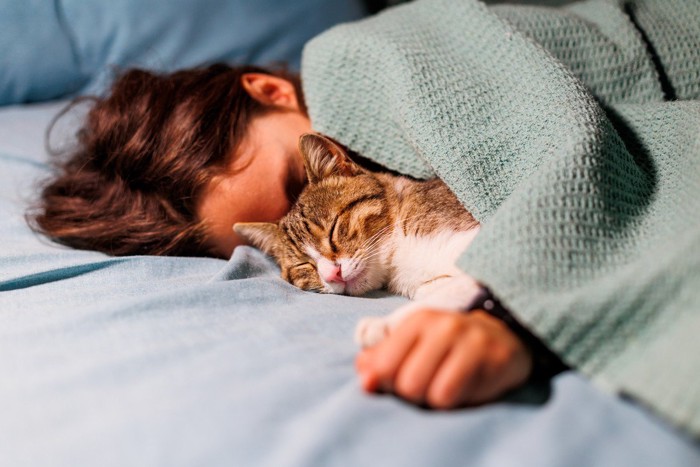 子供と一緒に寝る猫