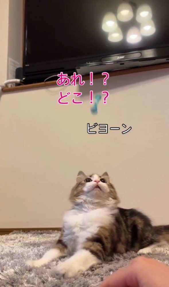 「あれ、どこ?」と書かれた写真