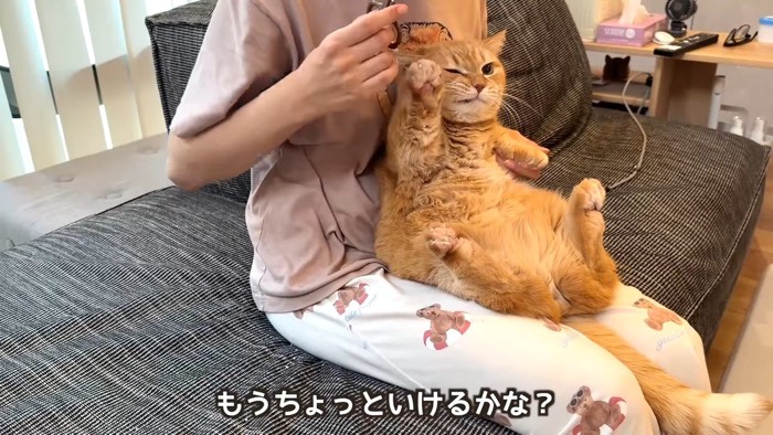 もうちょっといけるかな?