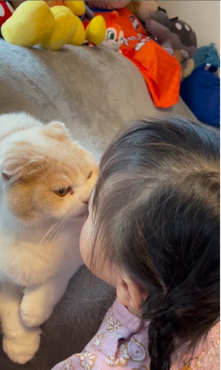 娘さんからキスをされる猫