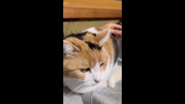 左脇に
