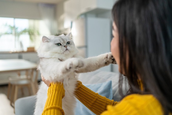 猫と見つめあう女性