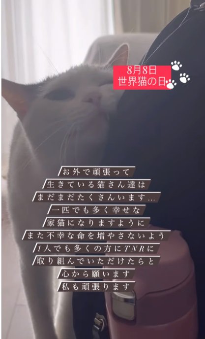 スリスリする猫