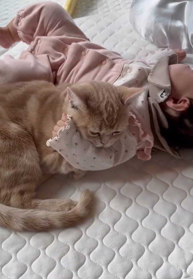 赤ちゃんに腕枕される猫