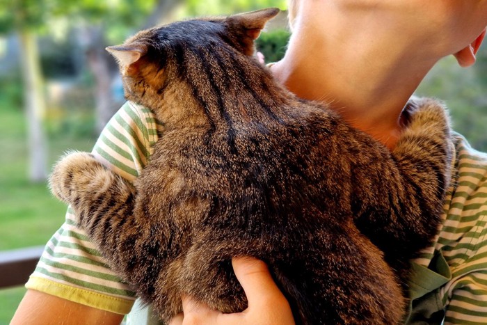 しがみついて離れようとしない猫