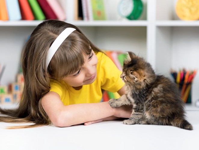 子猫と会話する少女