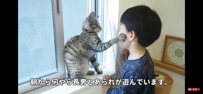 猫パンチ