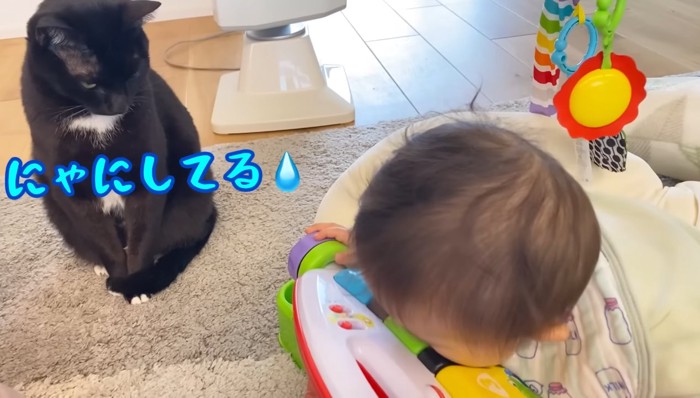 にゃにしてる