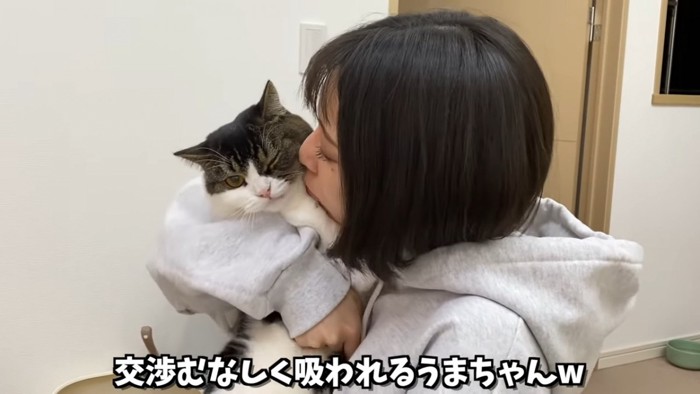 猫吸いされる猫