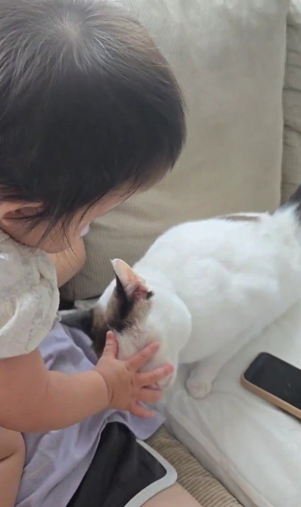 赤ちゃんと猫