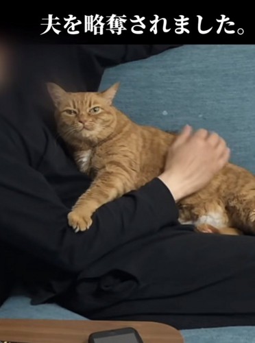 「夫を略奪されました」のテロップ写真