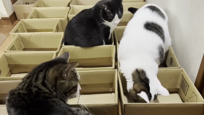 おやつをあげるお母さん