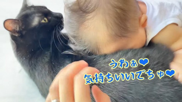 黒白猫に猫吸いする赤ちゃん