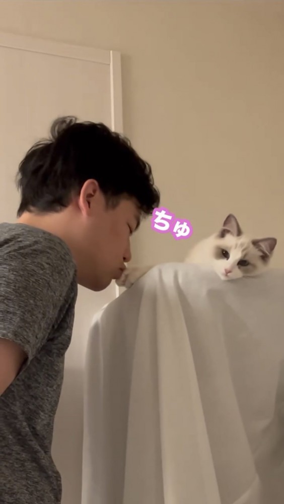 猫にキスする男性