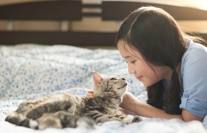 猫と女性