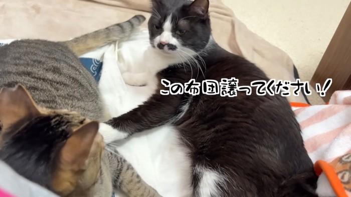 この布団譲ってください!