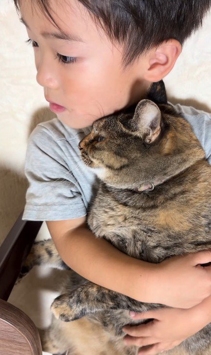 男の子に抱っこされている猫