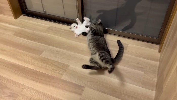 ひっくり返って