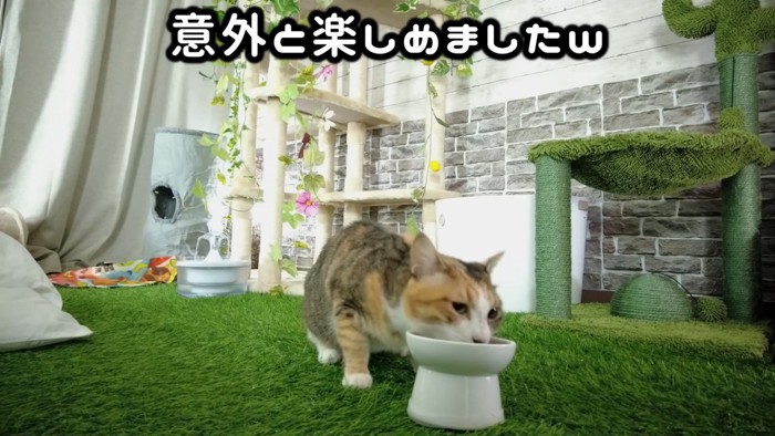 飼い主さんも満足気