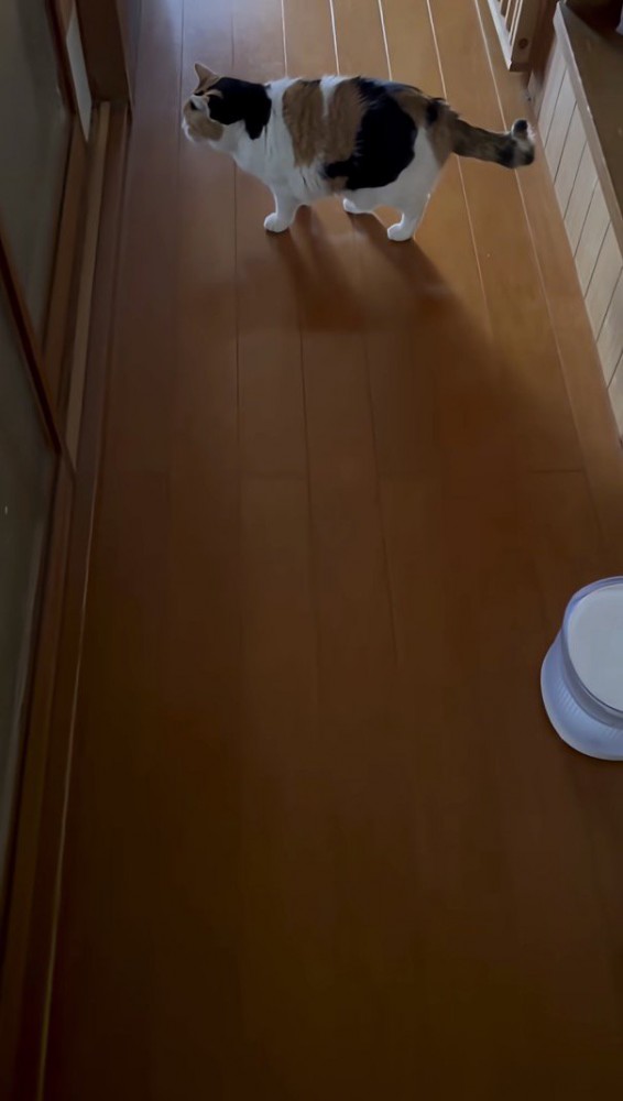 ドアの前で佇む