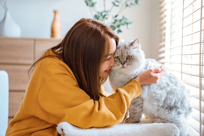 猫に笑いかける黄色ニットの女性