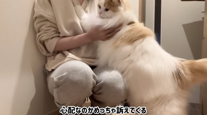 飼い主さんに訴えてみる