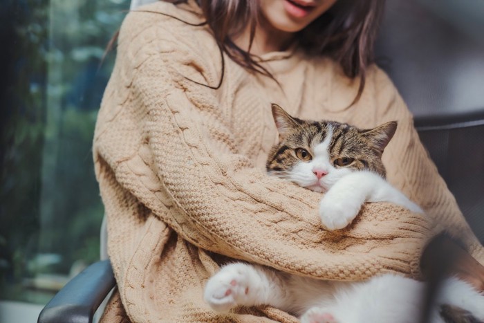 .安心した様子で飼い主の腕に抱きつく猫