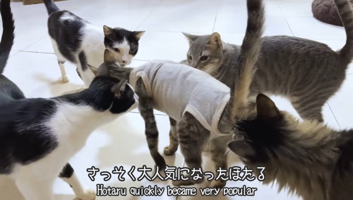 大人気