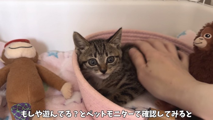 「もしや遊んでる？…」のテロップ写真