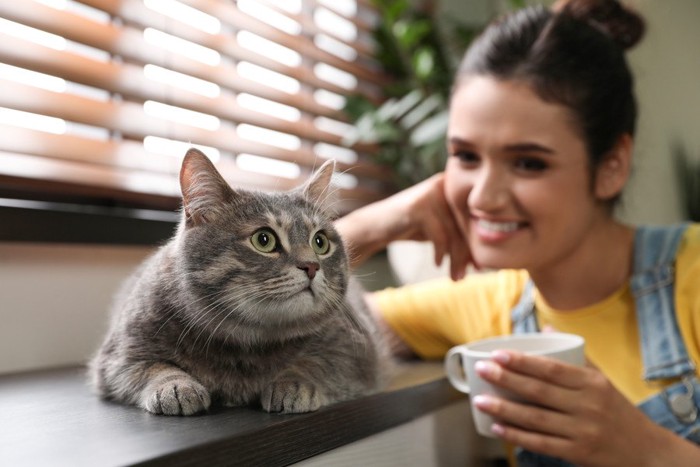 女性と猫