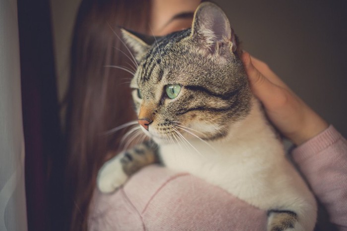 女性に抱かれる猫