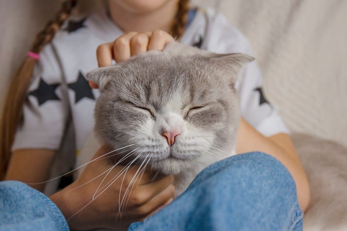 嬉しそうな表情を浮かべる猫