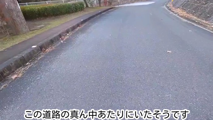 道路