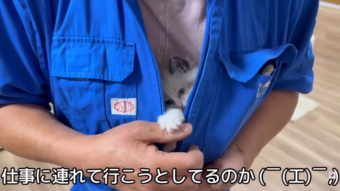 テロップ「仕事に連れて行こうと~」