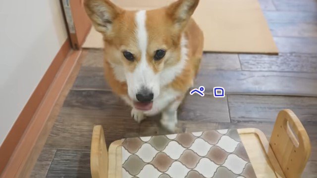 舌を出す犬