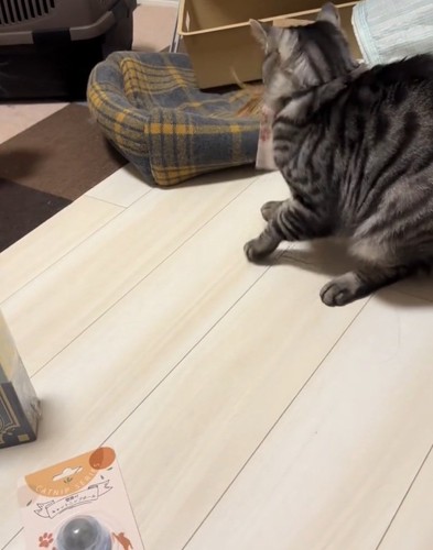 首を振るファミマルちゃん