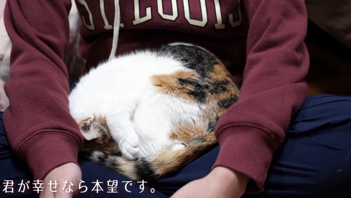 「君が幸せなら...」のテロップ写真