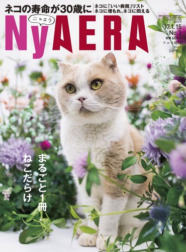 NyAERA表紙